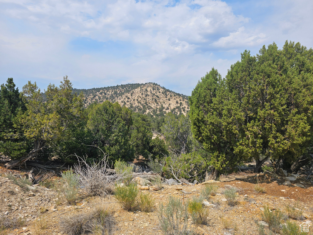  Fruitland, UT 84027