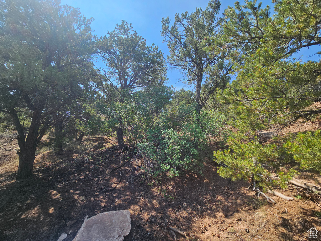  Fruitland, UT 84027