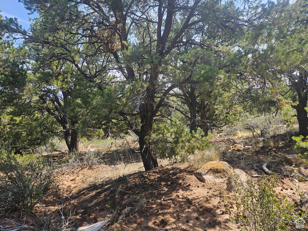  Fruitland, UT 84027