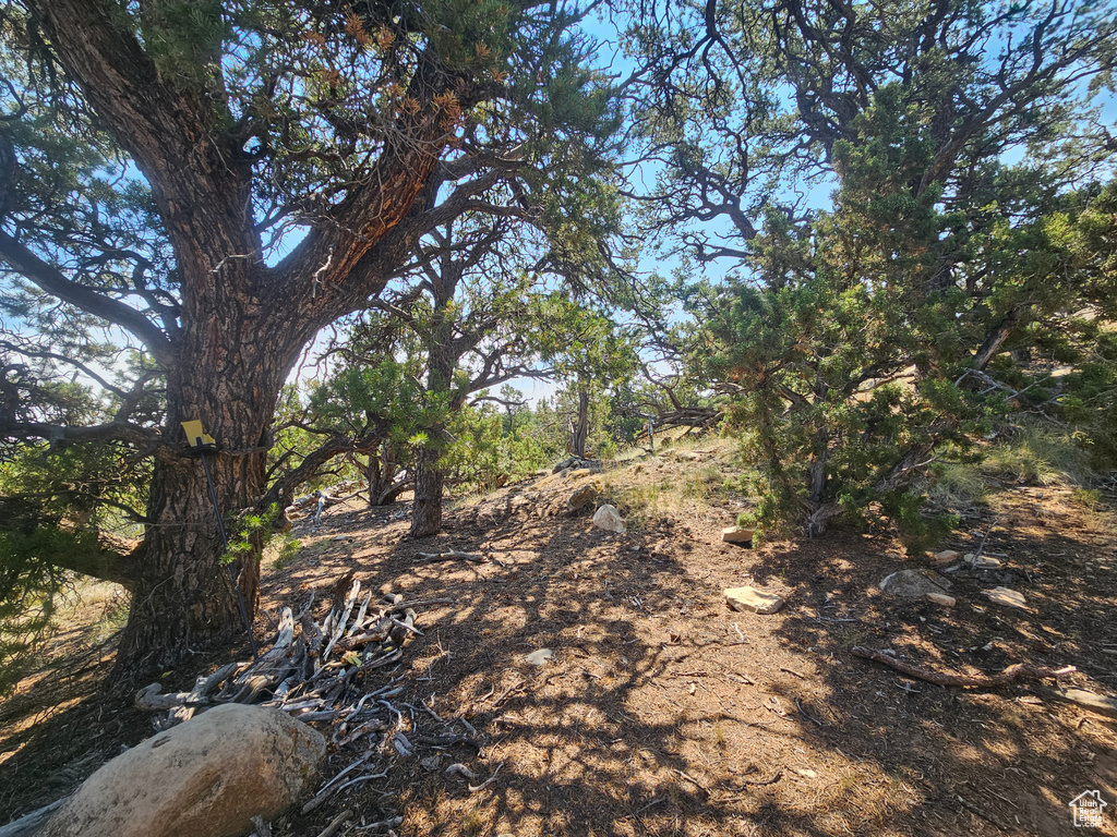  Fruitland, UT 84027