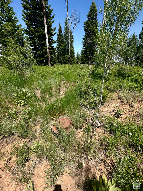 41 E WHISPERING PINES RD Virgin, UT 84779