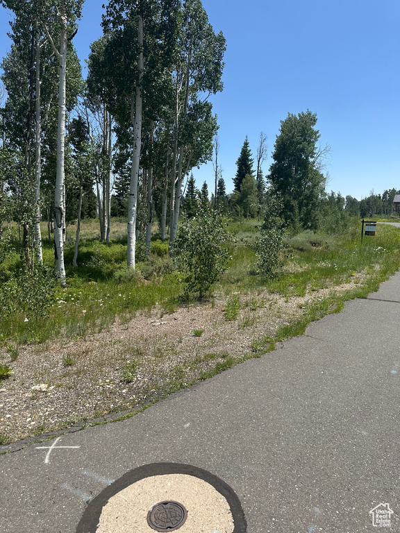 41 E WHISPERING PINES RD Virgin, UT 84779