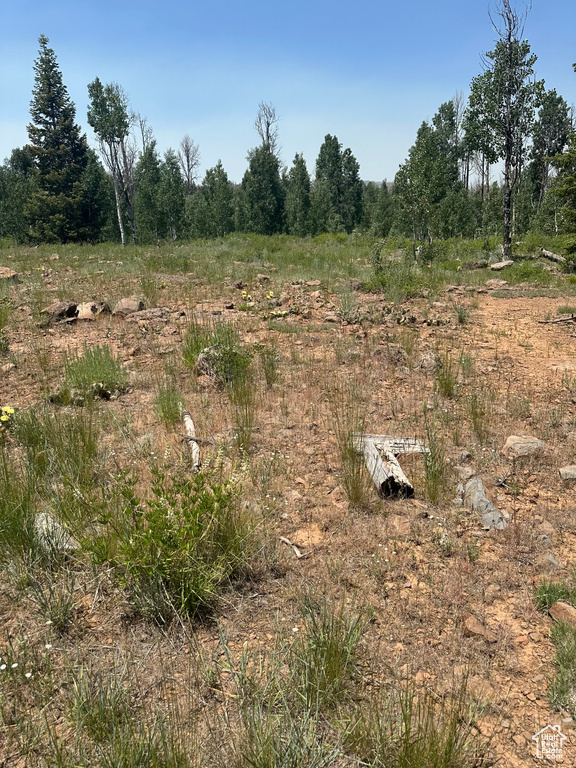 41 E WHISPERING PINES RD Virgin, UT 84779