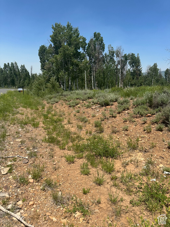 41 E WHISPERING PINES RD Virgin, UT 84779