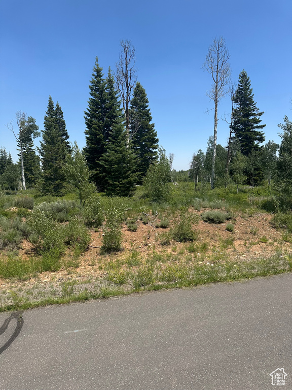 41 E WHISPERING PINES RD Virgin, UT 84779