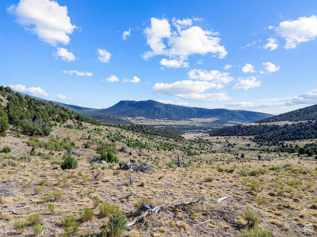  Mayfield, UT 84643