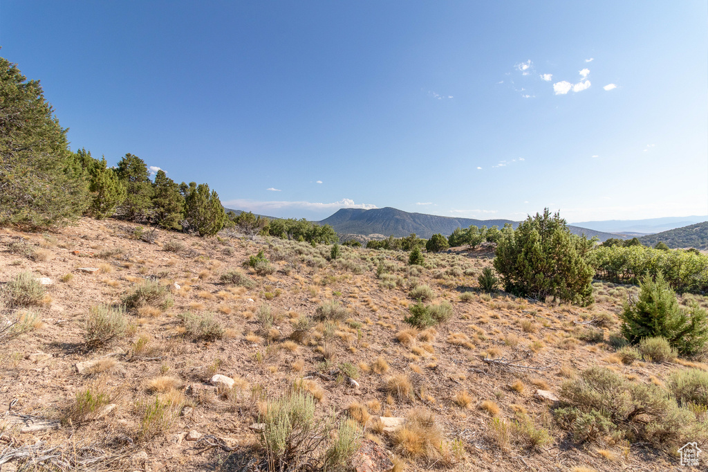  Mayfield, UT 84643