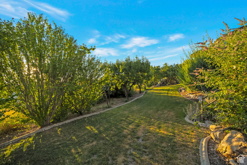 9157 N CANYON HEIGHTS DR Cedar Hills, UT 84062