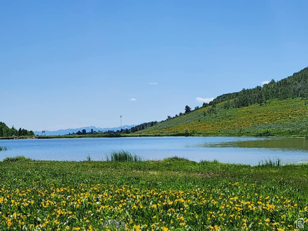 10838 E PEREGRINE PT Huntsville, UT 84317