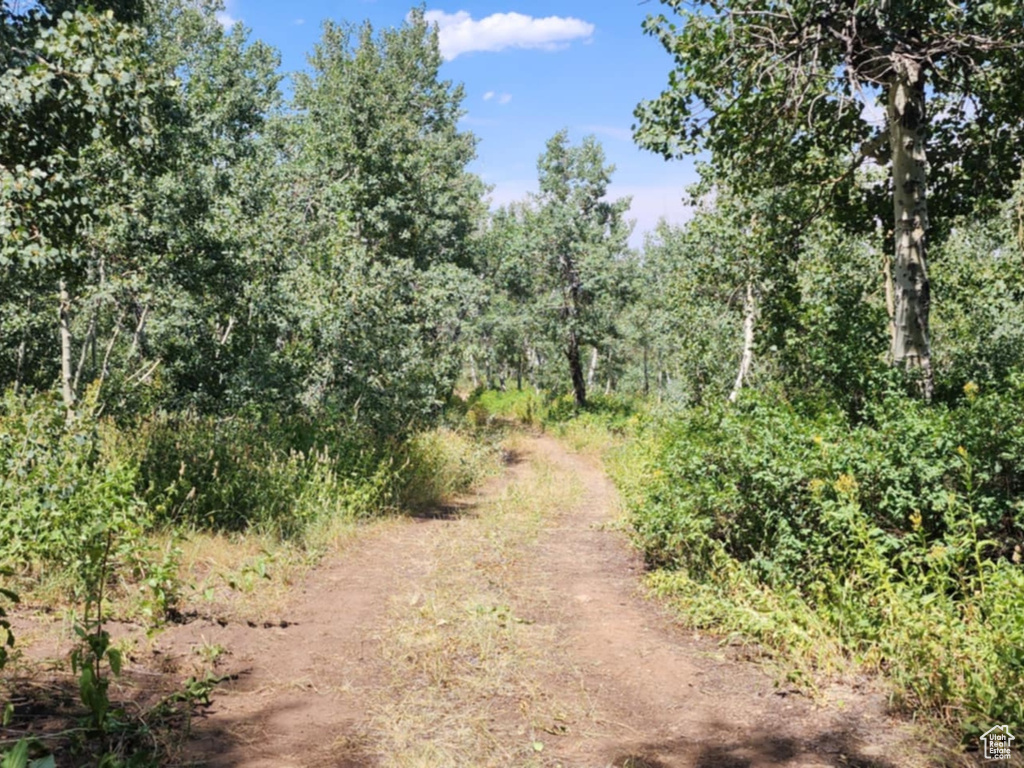 10838 E PEREGRINE PT Huntsville, UT 84317