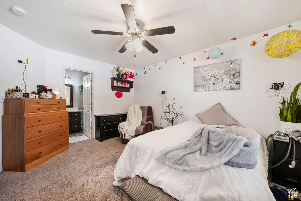 1571 S 280 W Payson, UT 84651