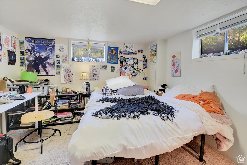 314 CANYON RD Logan, UT 84321