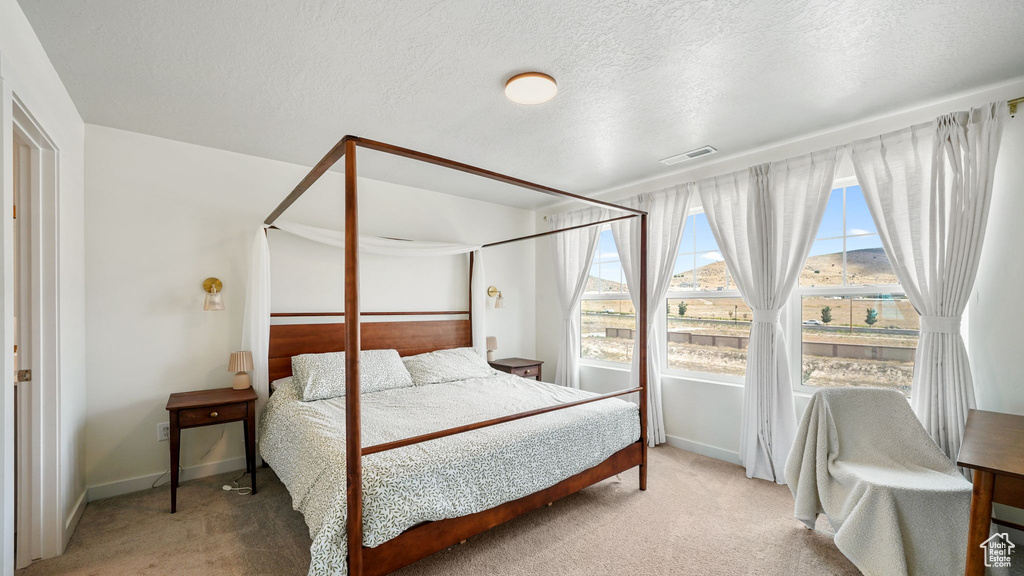 6753 N MT JEFFERSON Eagle Mountain, UT 84005