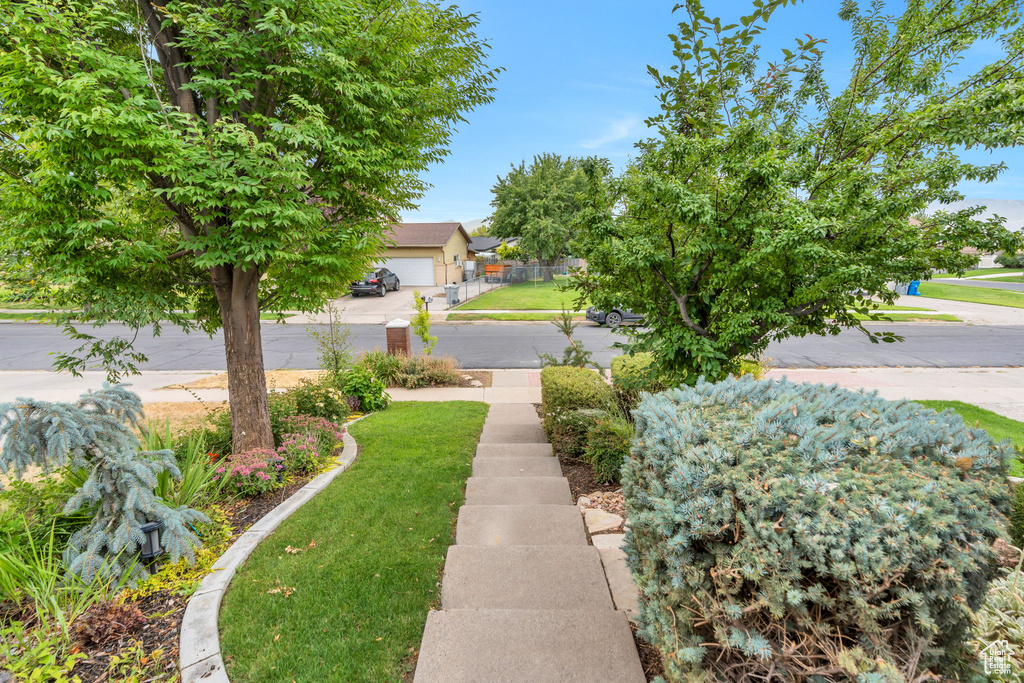 68 W 1080 N American Fork, UT 84003