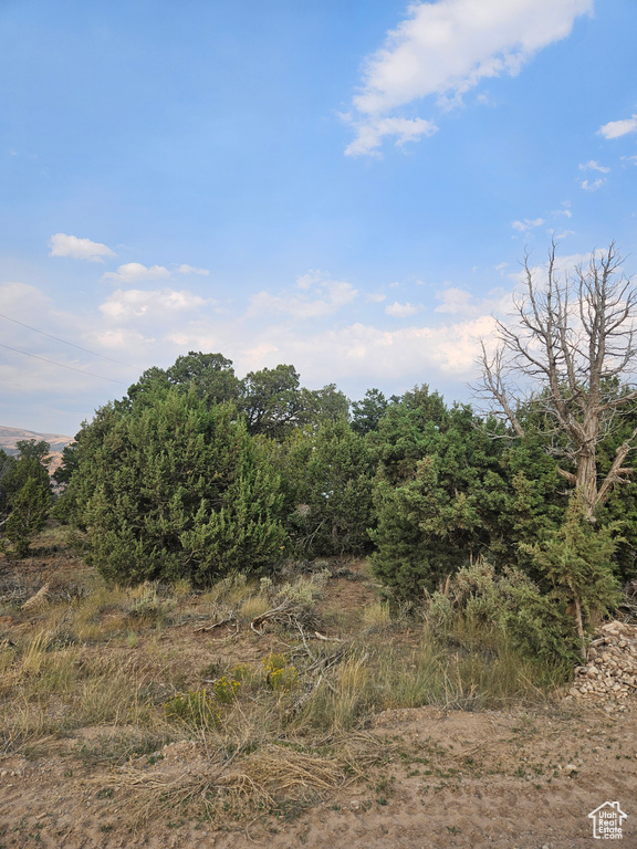  Duchesne, UT 84021