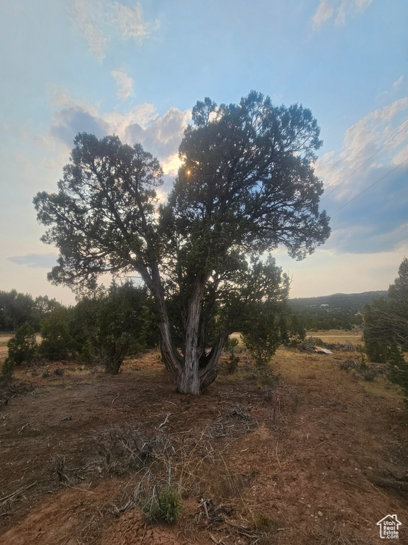  Duchesne, UT 84021