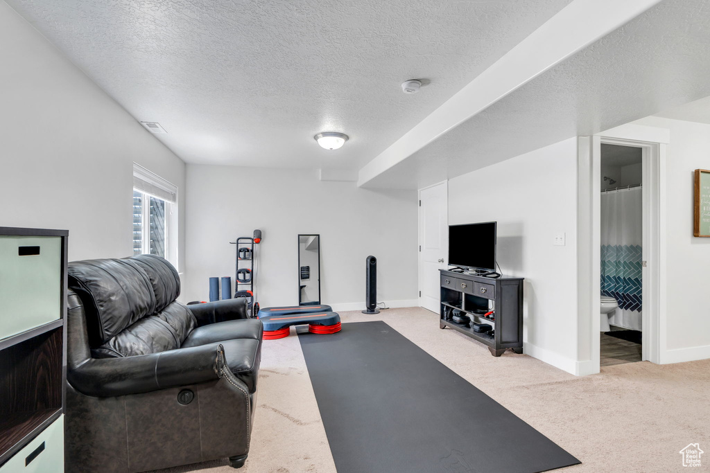 219 W SILVER SPRINGS DR Vineyard, UT 84059