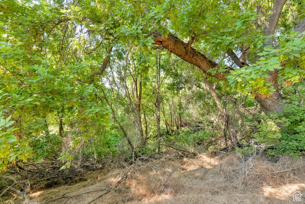 1632 S MAIN ST Springville, UT 84663