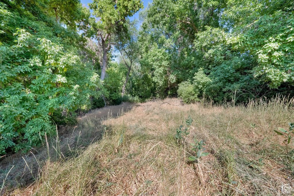1632 S MAIN ST Springville, UT 84663