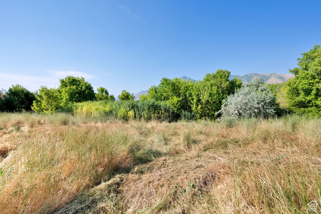 1632 S MAIN ST Springville, UT 84663