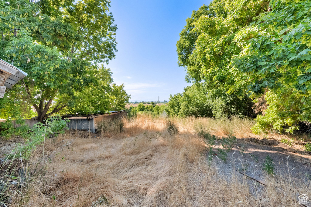 1632 S MAIN ST Springville, UT 84663