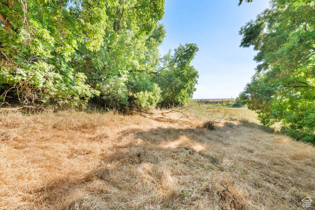 1632 S MAIN ST Springville, UT 84663