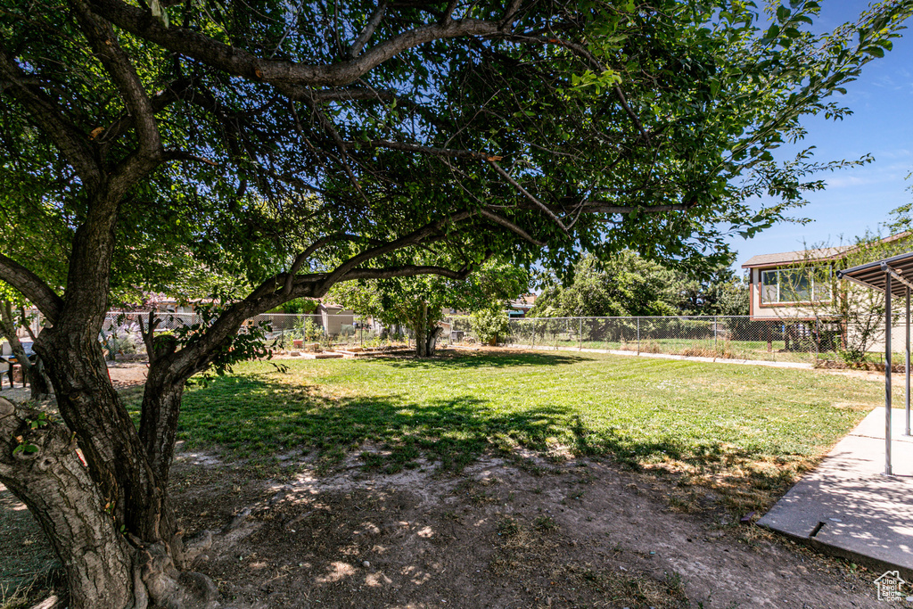 2063 W CHATEAU AVE. Taylorsville, UT 84129
