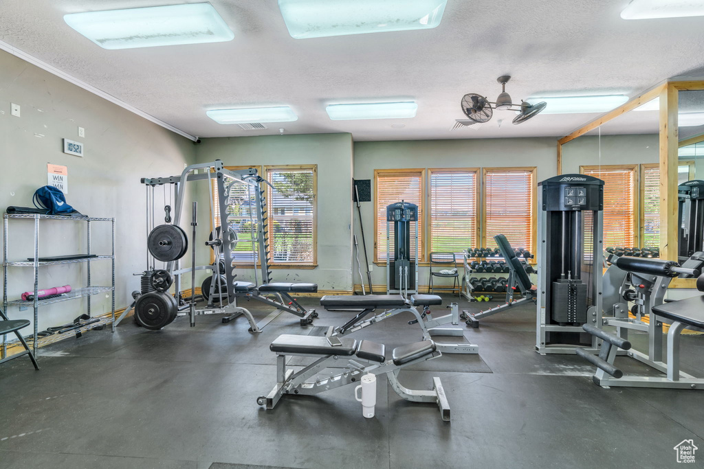 2312 S CHIP SHOT LOOP Saratoga Springs, UT 84045