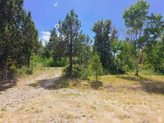 11904 BUGABOO TRL Lava Hot Springs, ID 83246