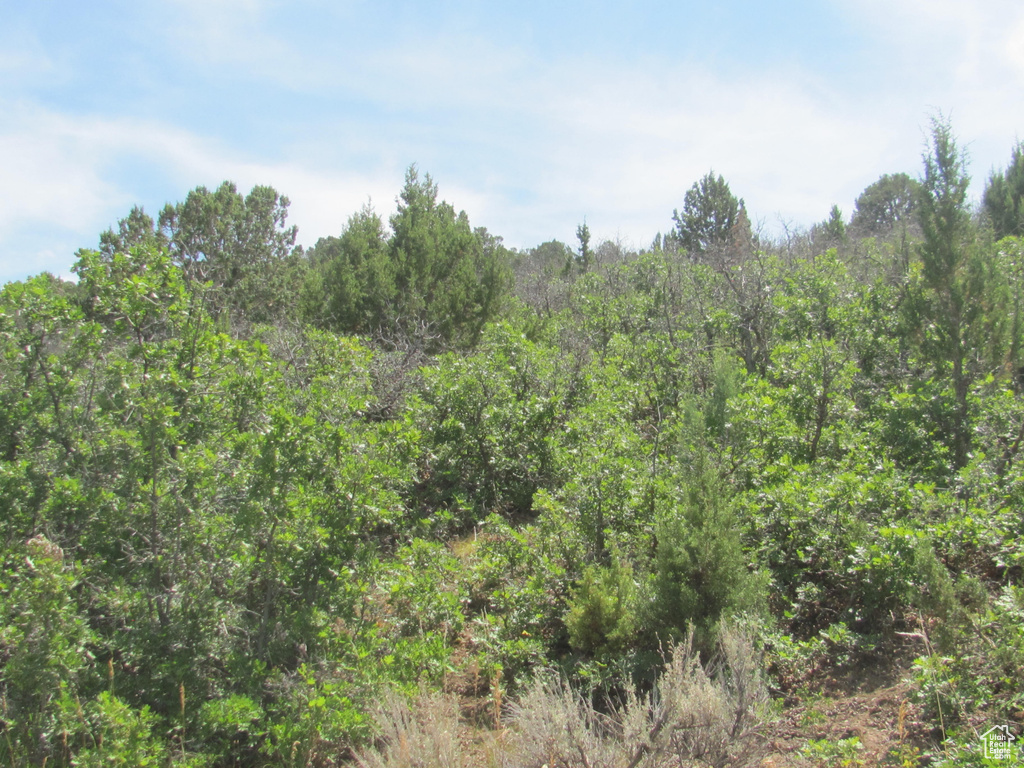  Spring City, UT 84662