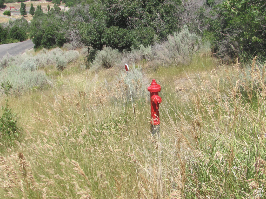  Spring City, UT 84662