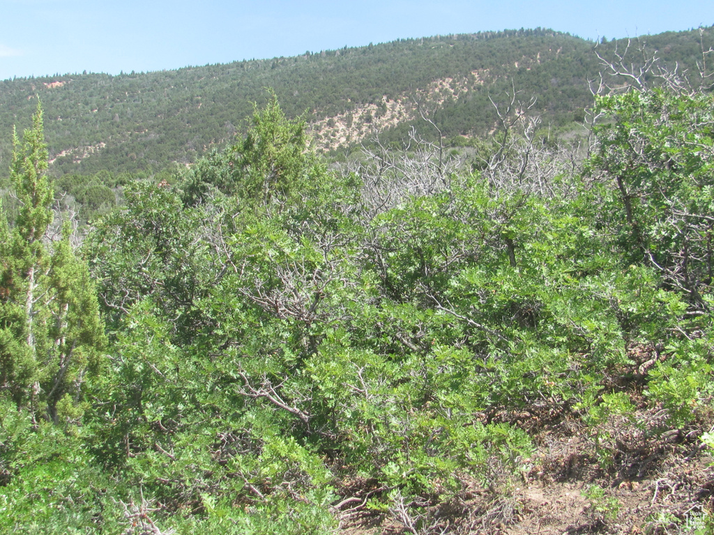  Spring City, UT 84662