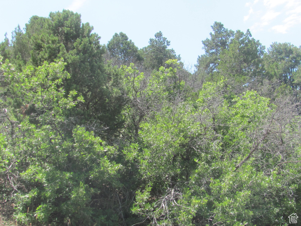  Spring City, UT 84662
