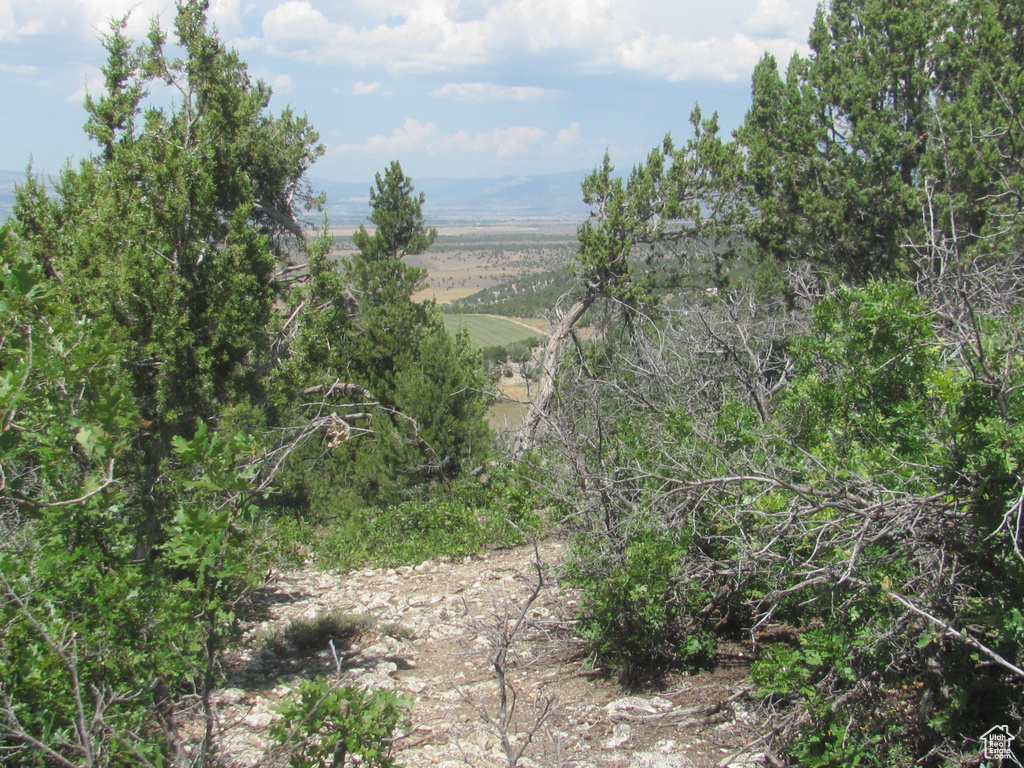  Spring City, UT 84662
