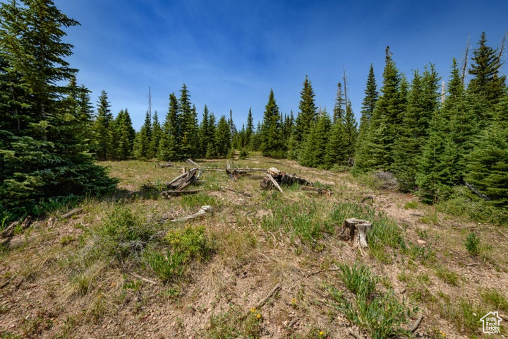  Brian Head, UT 84719