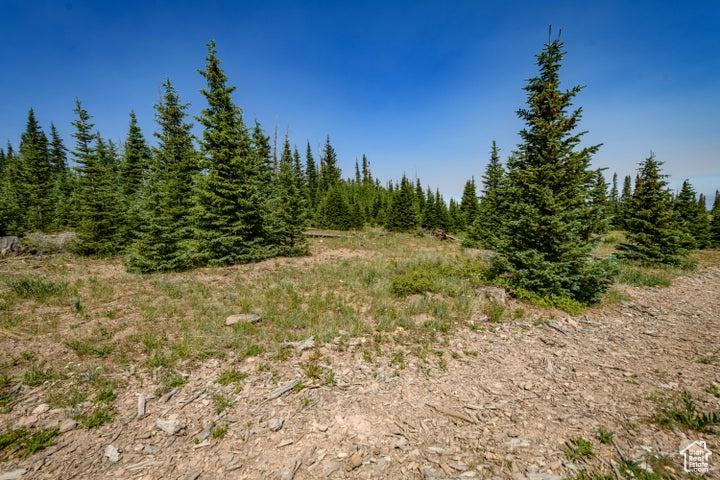  Brian Head, UT 84719