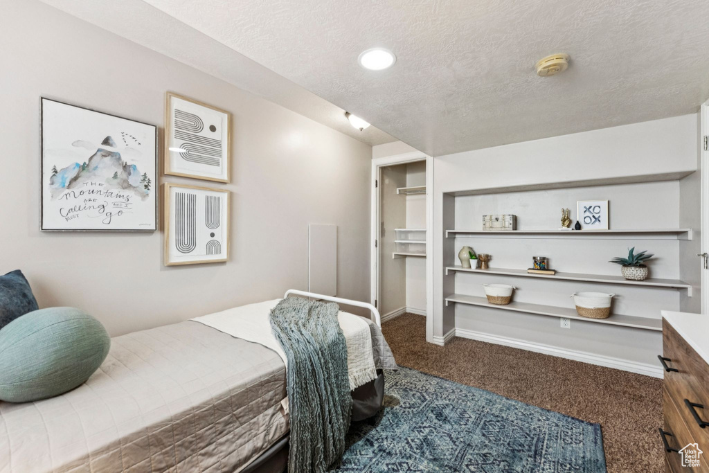 5248 W LITTLE WATER PEAK DR Herriman, UT 84096