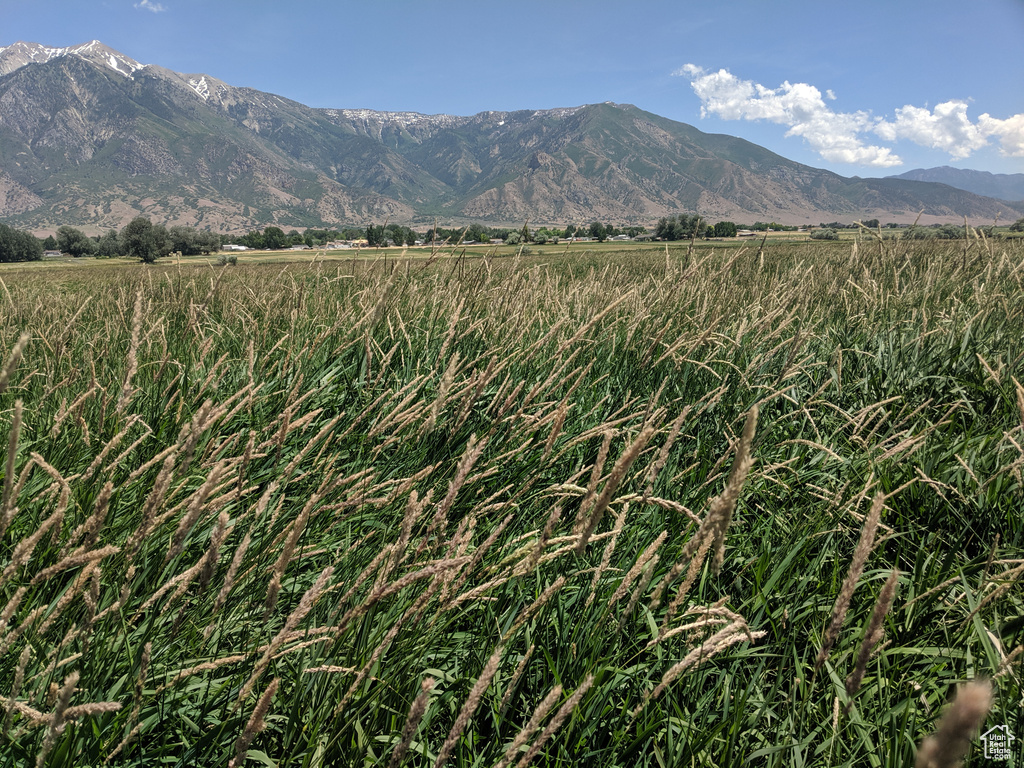 912 W GOSHEN RD Mona, UT 84645