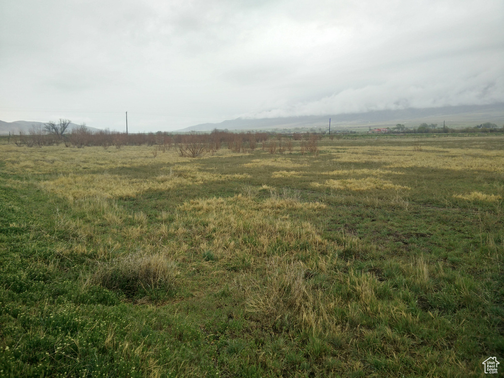 912 W GOSHEN RD Mona, UT 84645