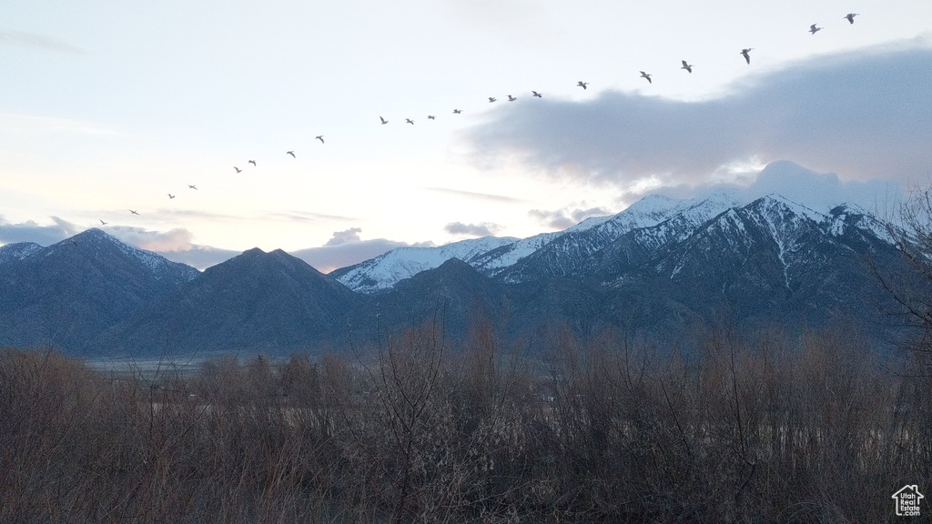 912 W GOSHEN RD Mona, UT 84645