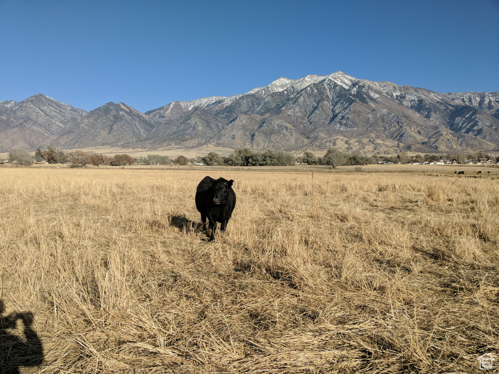912 W GOSHEN RD Mona, UT 84645