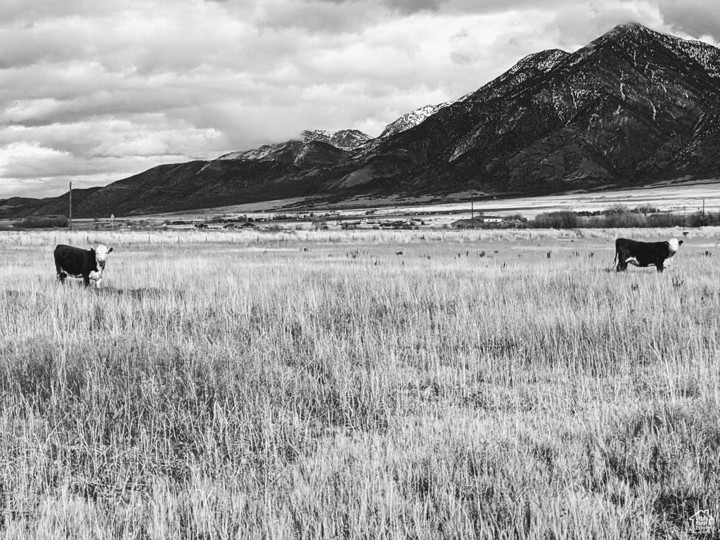 912 W GOSHEN RD Mona, UT 84645