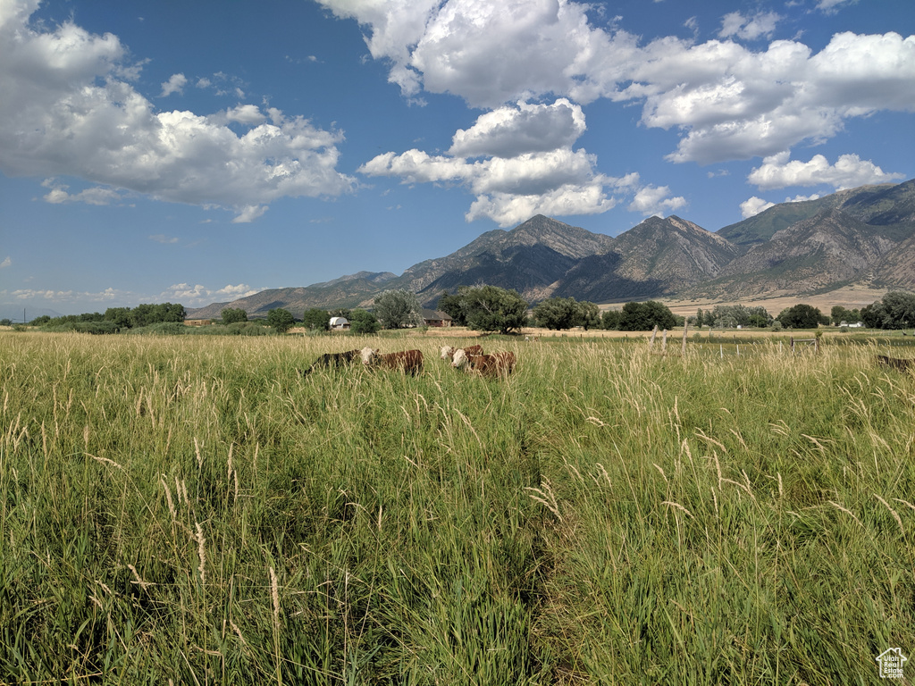 912 W GOSHEN RD Mona, UT 84645