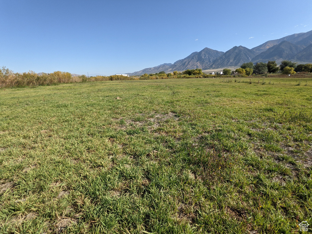 912 W GOSHEN RD Mona, UT 84645