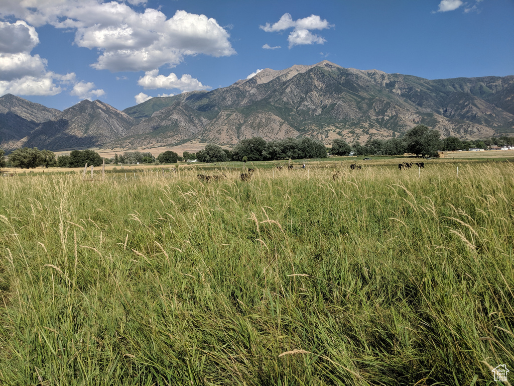 912 W GOSHEN RD Mona, UT 84645