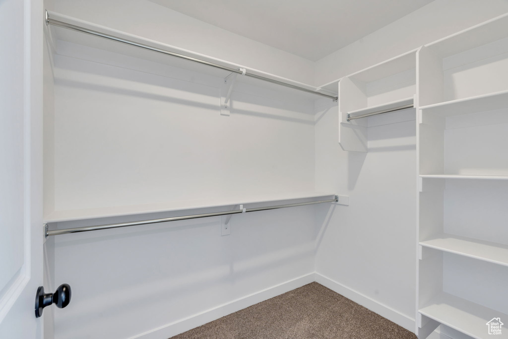 386 S STORRS CT #103 American Fork, UT 84003