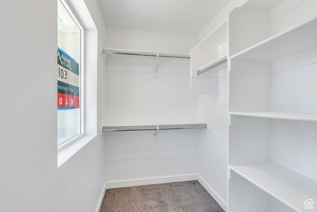 386 S STORRS CT #103 American Fork, UT 84003