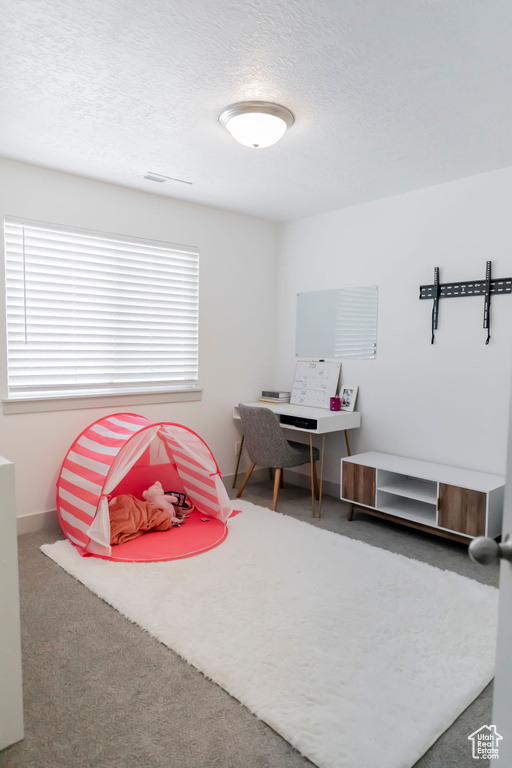 1533 W PISTON LN Bluffdale, UT 84065