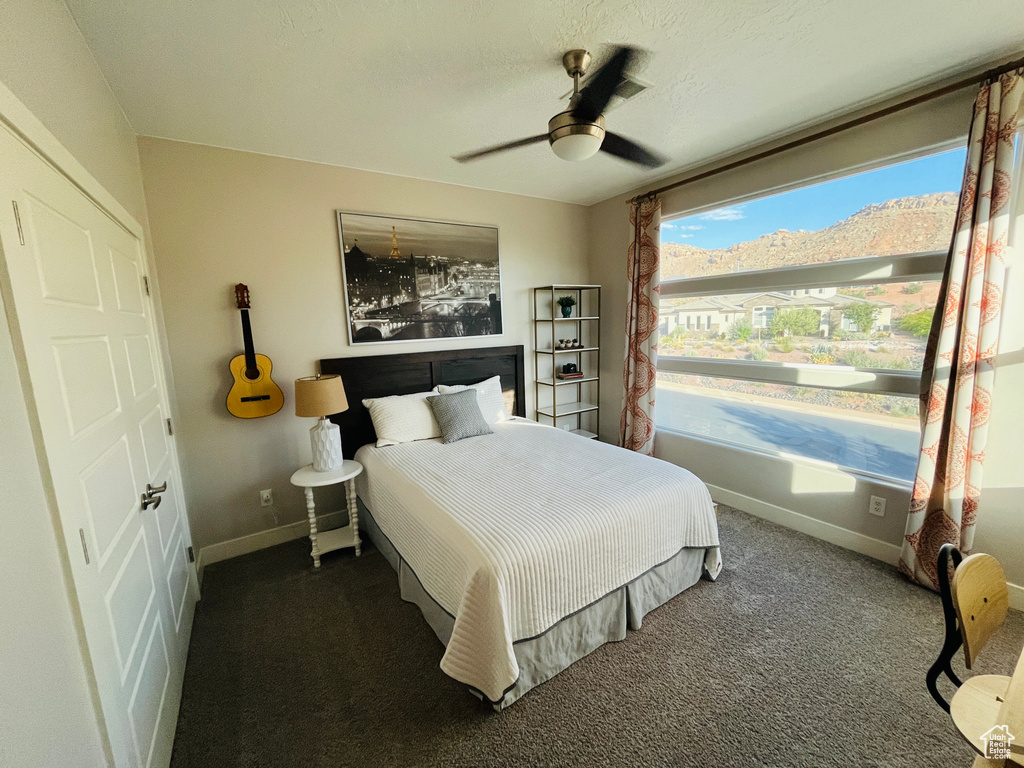 Photo 64 for MLS #2102054 at 2721 E Hazel Dr