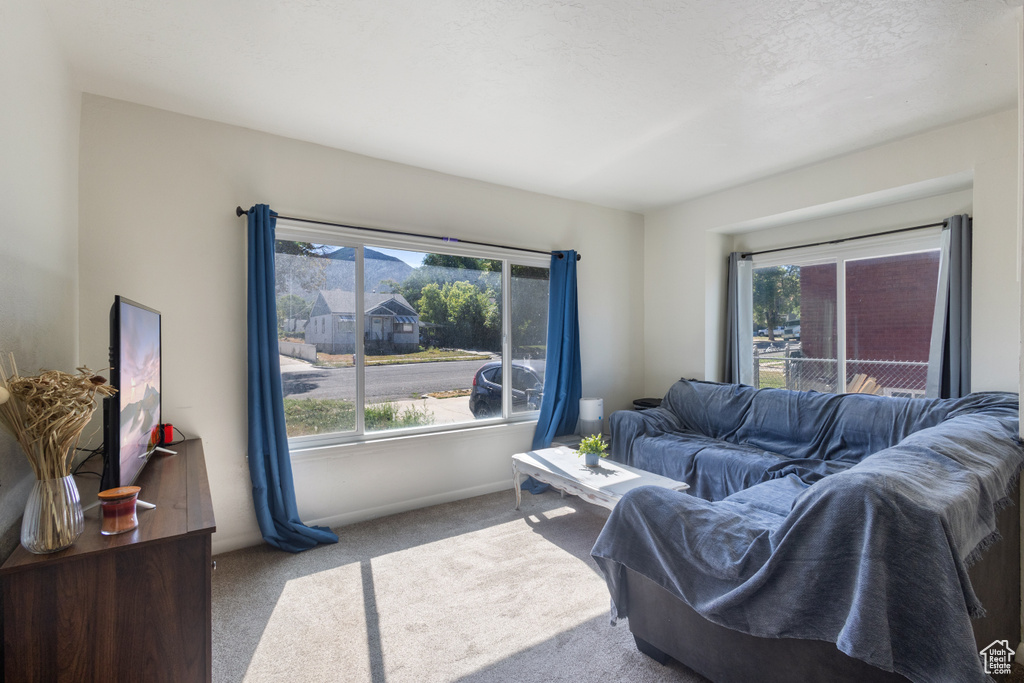 141 N PINEHURST Tooele, UT 84074
